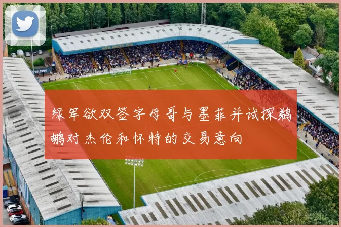 绿军欲双签字母哥与墨菲并试探鹈鹕对杰伦和怀特的交易意向